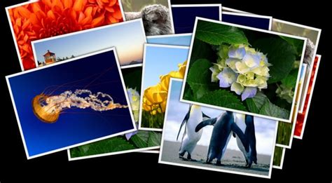 photo collage screensaver  windows