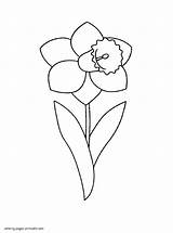 Coloring Pages Spring Daffodil Flower Printable Colouring Print Seasons sketch template