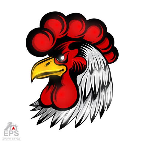 chicken league illustrations royalty free vector graphics and clip art