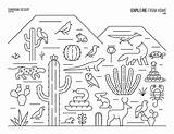 Sonoran Biomes Biome Colorir Cacto sketch template