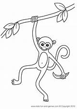 Colorir Macaco Macacos Singe Animals Gorilas Coloriages sketch template