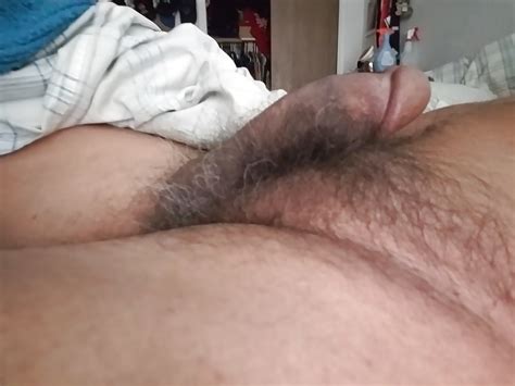 my hairy boner and balls 4 pics xhamster