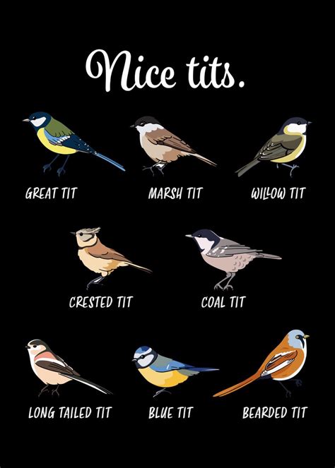 funny nice tits bird t poster by qwertydesigns displate