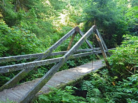 bridge   small creek damnation creek trail del norte coast