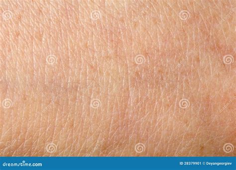 human skin stock image image  healthcare covering