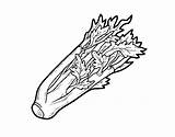 Celery Coloring Pages Coloringcrew Vegetables sketch template
