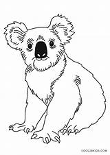 Koala Coloring Kostenlos Ausdrucken Malvorlagen Cool2bkids sketch template