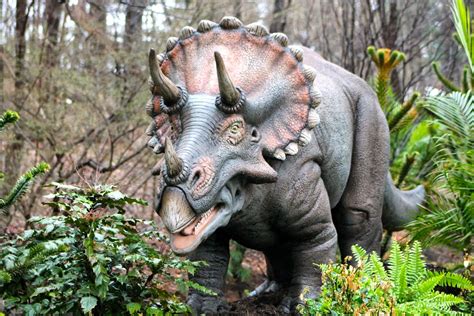 holimess bronx zoo dinosaur safari mysteries revealed