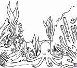 Seaweed Coloring Pages Getdrawings Getcolorings Coral sketch template