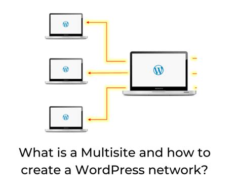 multisite    create wordpress network  daily
