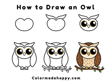 simple cartoon owl