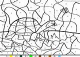 Number Color Tortoise Animal sketch template