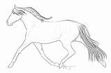 Horse Trot Coloring Comments Pacing sketch template
