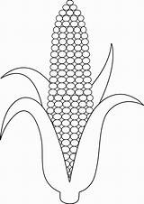 Cob Jagung Maize Sketsa Stalk Pngwing Milho Kartun Mewarnai Manis Maiz Maíz Sudut Macam Rebus Bermacam Lineart W7 Otoño Cardstock sketch template