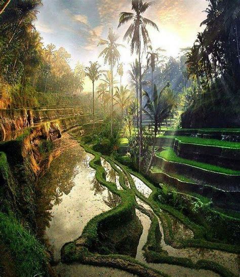 the land of gods bali indonesia extreme outdoor adventure and spring tourism way to be happy