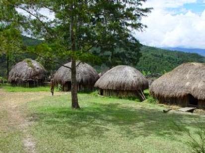 rumah adat hanoi suku dani papua indonesianall