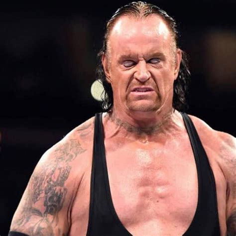 wwe legend  undertaker retires  wrestling netnaija