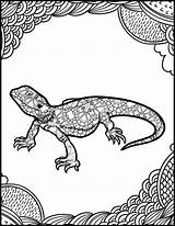 Coloring Lizard Laurenzside Lizards sketch template