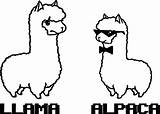 Alpaca Kawaii Coloring4free Drawings Colouring Px Clipartmag sketch template