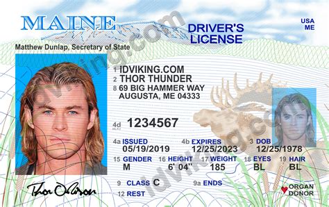 maine  drivers license psd template  idviking