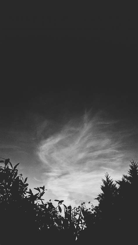 무료 이미지 수평선 실루엣 구름 검정색과 흰색 하늘 햇빛 새벽 분위기 황혼 어둠 검은 단색화 흑백 사진