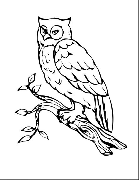 great horned owl coloring page  getcoloringscom  printable