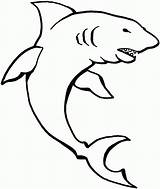 Shark Coloring Pages Printable Color Library Clipart sketch template