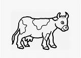 Cow Baby Coloring Kids Drawing Simple Clipart Pages Cows Clipartbest Getdrawings sketch template
