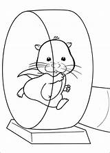 Zhu Pets Kolorowanki Hamster Kleurplaten Zuzu Kolorowanka Coloriez Druku Hamsters Dzieci Czasdzieci sketch template