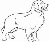 Retriever Golden Coloring Pages Dog Clip Clipart Silhouette Drawings Template Cliparts Retrievers Print Terrier Russell Jack sketch template