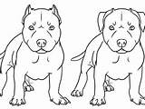 Pitbull Nose Drawing Red Blue Coloring Pages Getdrawings sketch template