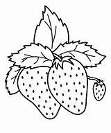 Fruits sketch template