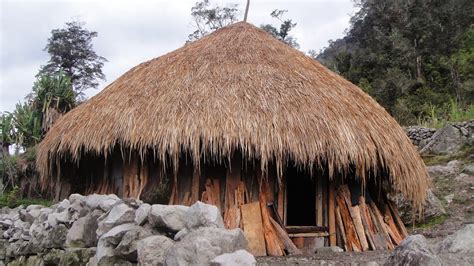 rumah adat papua honai