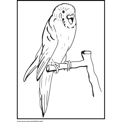 easy coloring pages  dementia patients