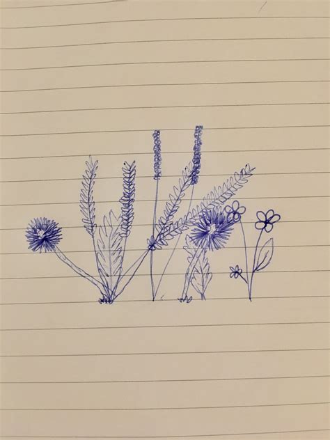 doodle aesthetic plant drawing