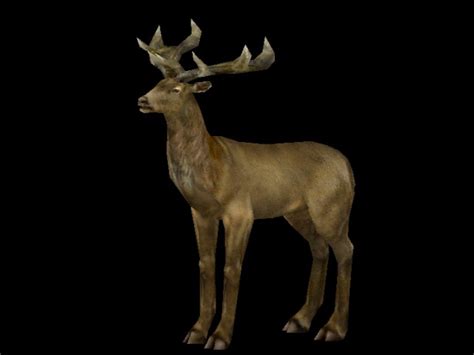 giant deer carnivores wiki fandom powered  wikia