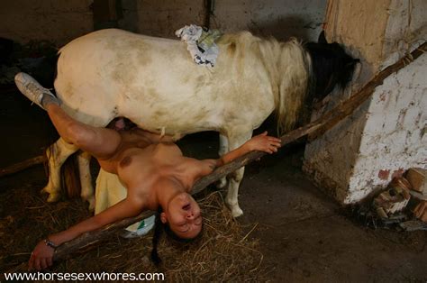 cow with women sex pic free pics and galleries