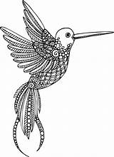 Coloring Advanced Pages Animal Kidspressmagazine Hummingbird Mandala Now Adult Template Boyama sketch template