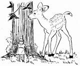 Reh Baum Ausmalbild Rehe Ausmalen Hirsch Deer Supercoloring Hirsche sketch template