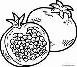 Pomegranate Coloring Pages Pomegranates sketch template