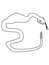 Serpenti Preleva Tuo sketch template