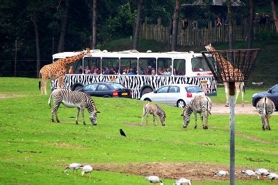 days  diary eurocamp holiday  holland part  beekse bergen safari park camp site