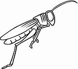Locust Colorare Konik Disegni Gafanhoto Cavalletta Gafanhotos Grasshopper Clipart Grasshoppers Designlooter Malowanka Saltar Immagini sketch template