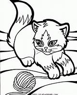 Coloring Pages Kitten Cat Printable Kids Kittens Visit Cartoon Books Sheets Cooloring sketch template