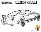 Shelby Mustang sketch template