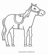 Pferde Ausdrucken Ausmalen Pferd Malvorlage Ausmalbild Sattel Reh Urkunden Druckbare sketch template