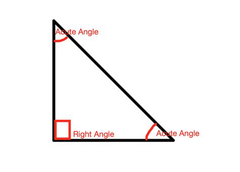 relationship    acute angles    triangle