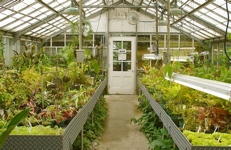 earning greenhouse