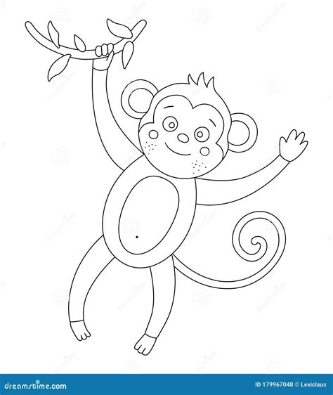 vector cute monkey hanging   tree brunch outline funny tropical