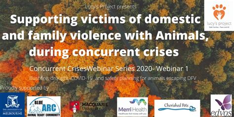 Lucys Project Webinar Series 2020 1 Concurrent Crisis Support